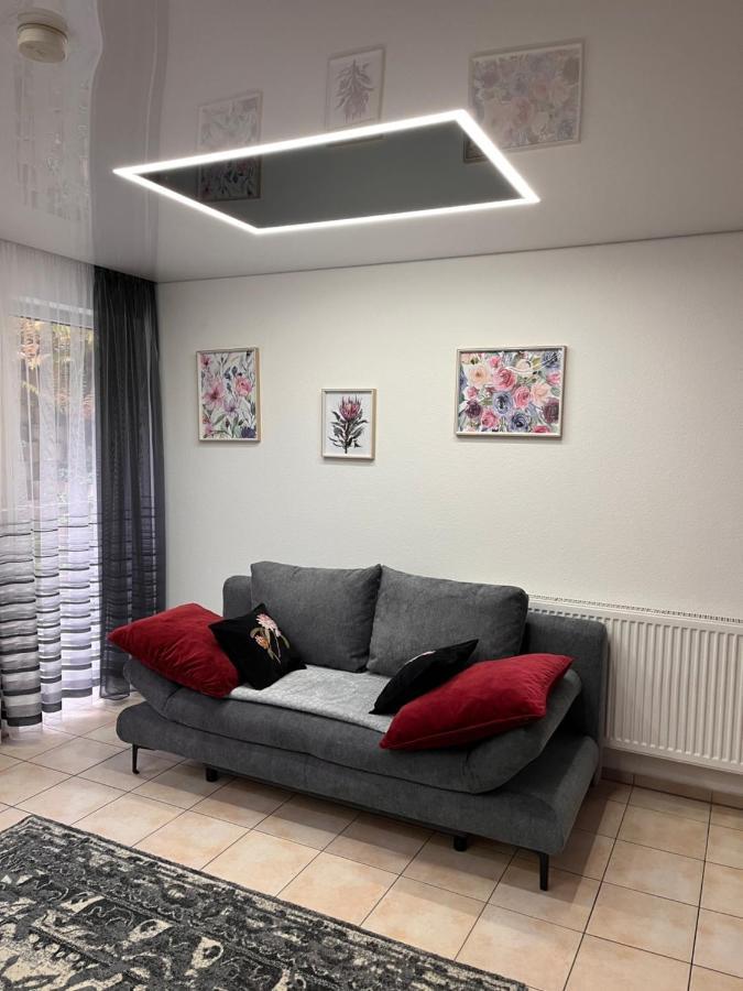 A&D Charmantes Apartment - Buehlertal Bei Buehl, Baden-Baden & Schwarzwald المظهر الخارجي الصورة
